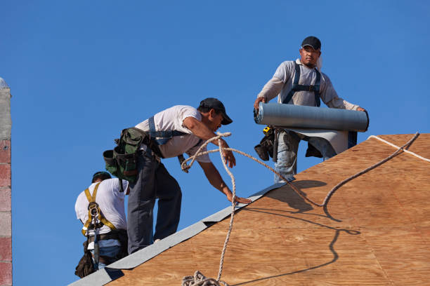 Best Storm Damage Roof Repair  in Phillips, WI